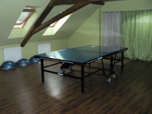 Stůl na ping pong